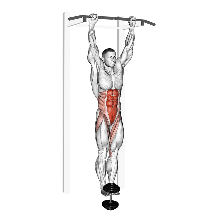 Weighted Hanging Leg Raise exercise animation