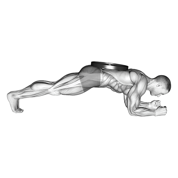 Weighted Plank exercise animation