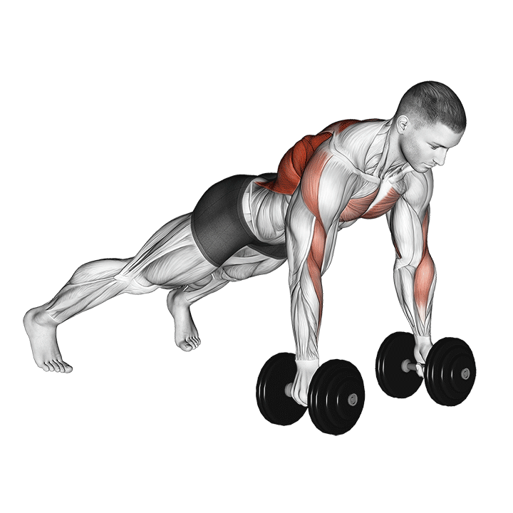 Alternate Renegade Row exercise animation
