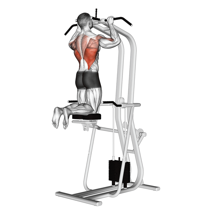 Assisted Pull-Up exercise animation
