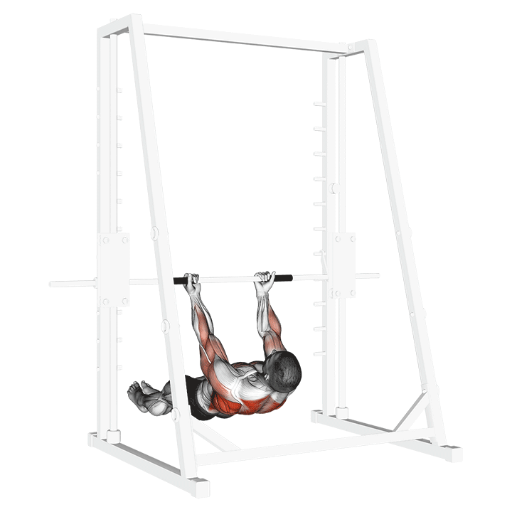 Australian Pull-Up Underhand Grip exercise animation