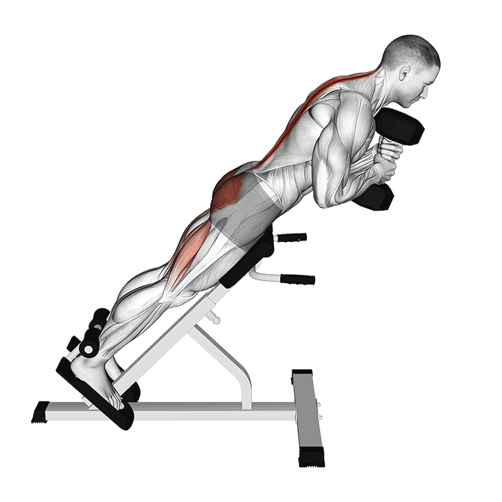 Back Extension With Dumbbell exercise animation