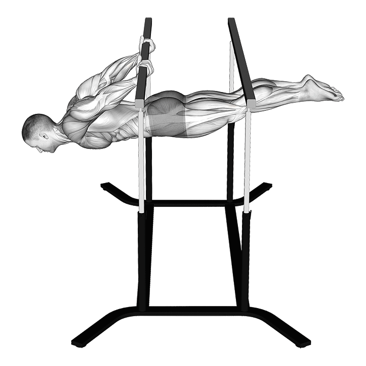 Back Lever exercise animation