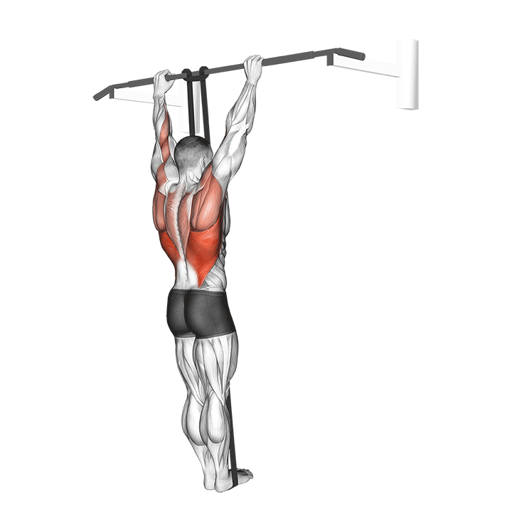 Band Assisted Pull Up exercise animation