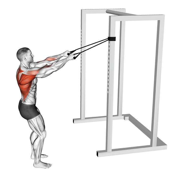Band High Anchor Wide Row exercise animation