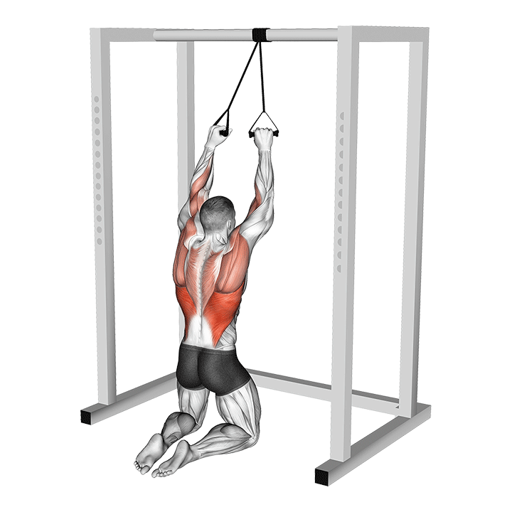 Band Pulldown Behind Neck exercise animation
