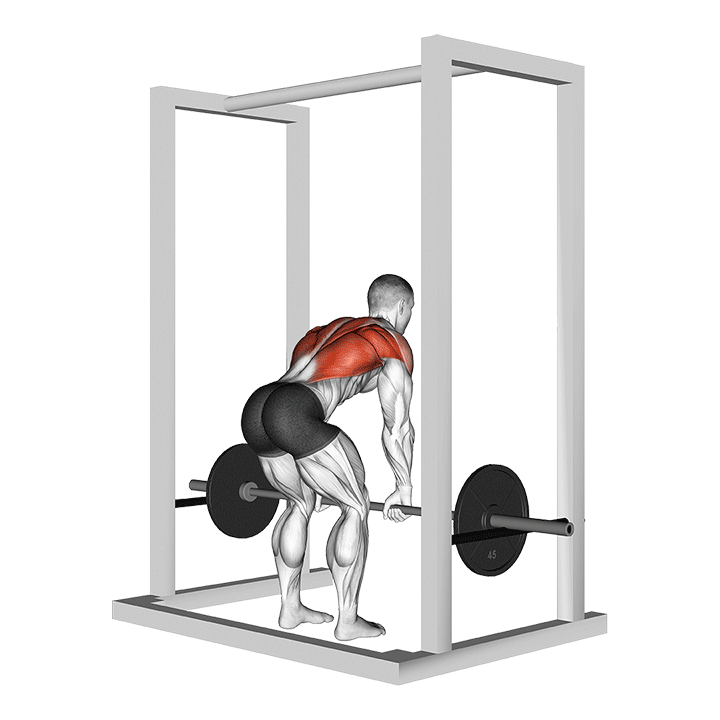 Barbell Bent Over Row From Pin exercise animation