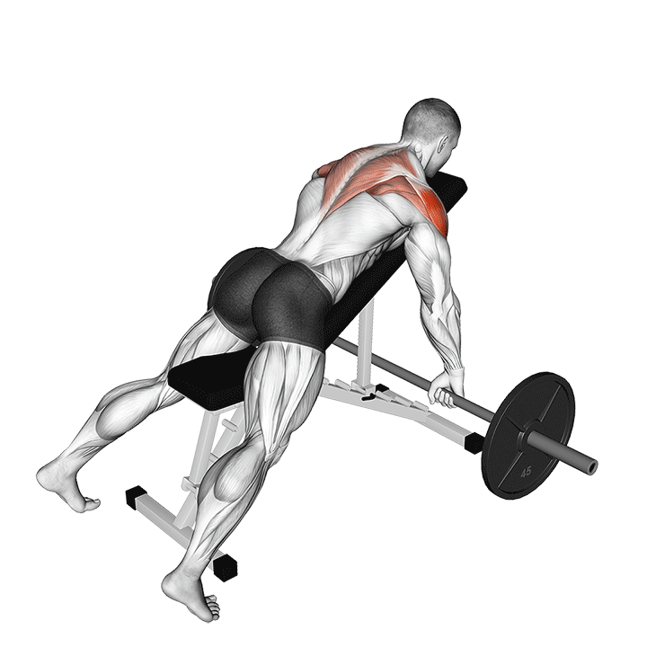 Barbell Incline Wide Grip Row exercise animation