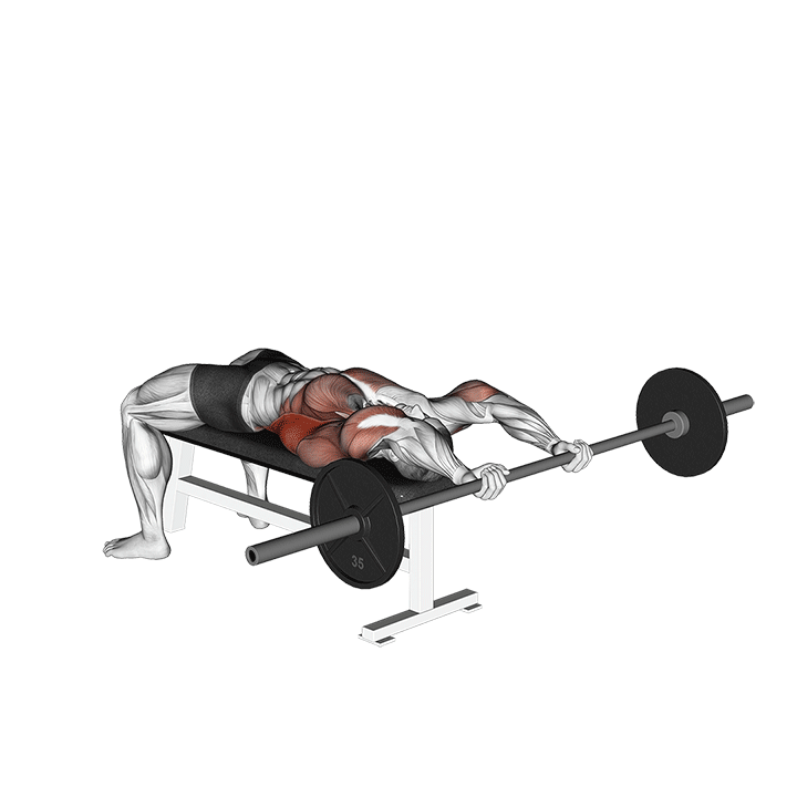 Barbell Pullover exercise animation