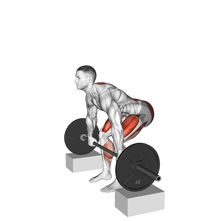 Barbell Rack Pull exercise animation