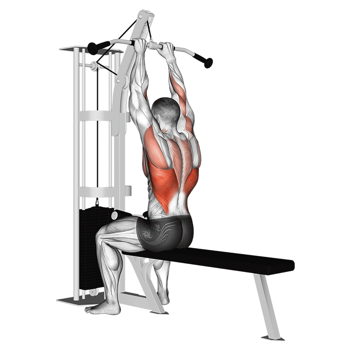 Cable Close Grip Lat Pulldown exercise animation