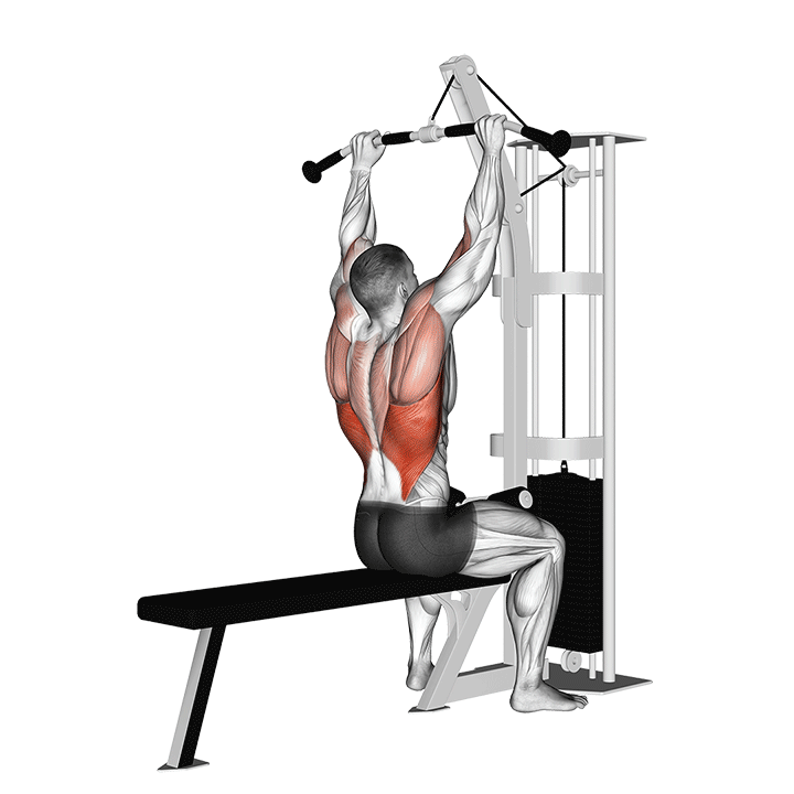 Cable Lat Pulldown exercise animation