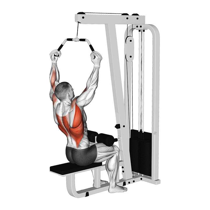 Cable Neutral Grip Lat Pulldown exercise animation