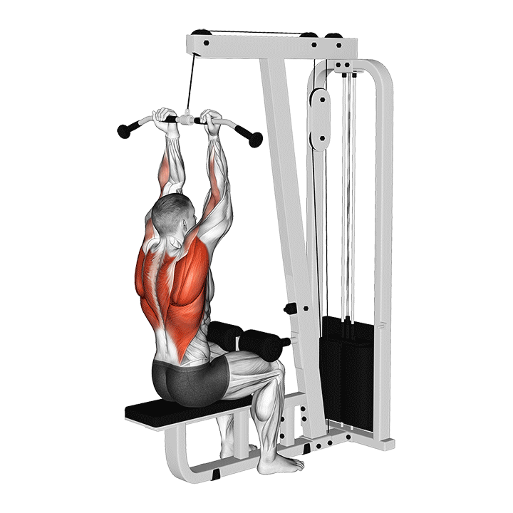 Cable Reverse Grip Pulldown exercise animation