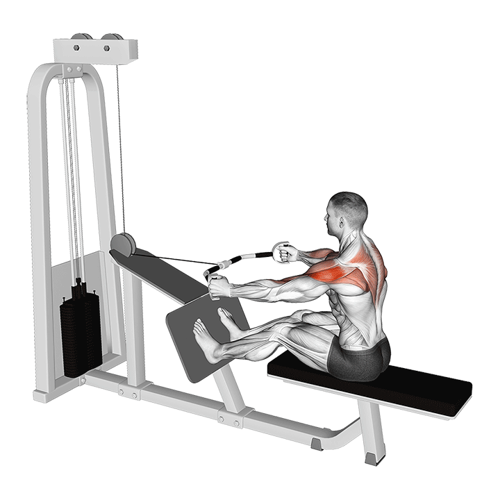 Cable Seated Row Neutral Grip exercise animation