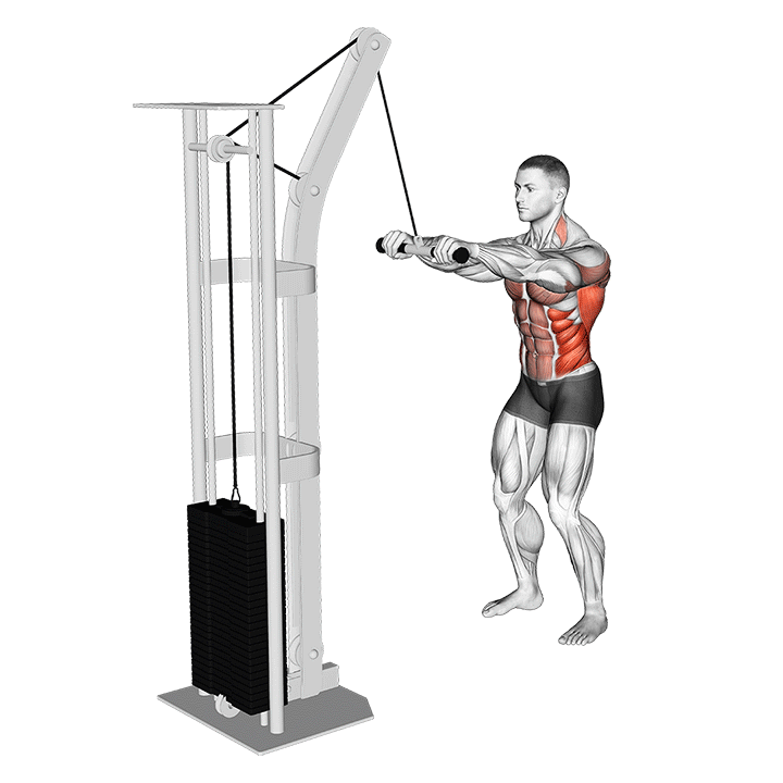 Cable Thibaudeau Kayak Row exercise animation
