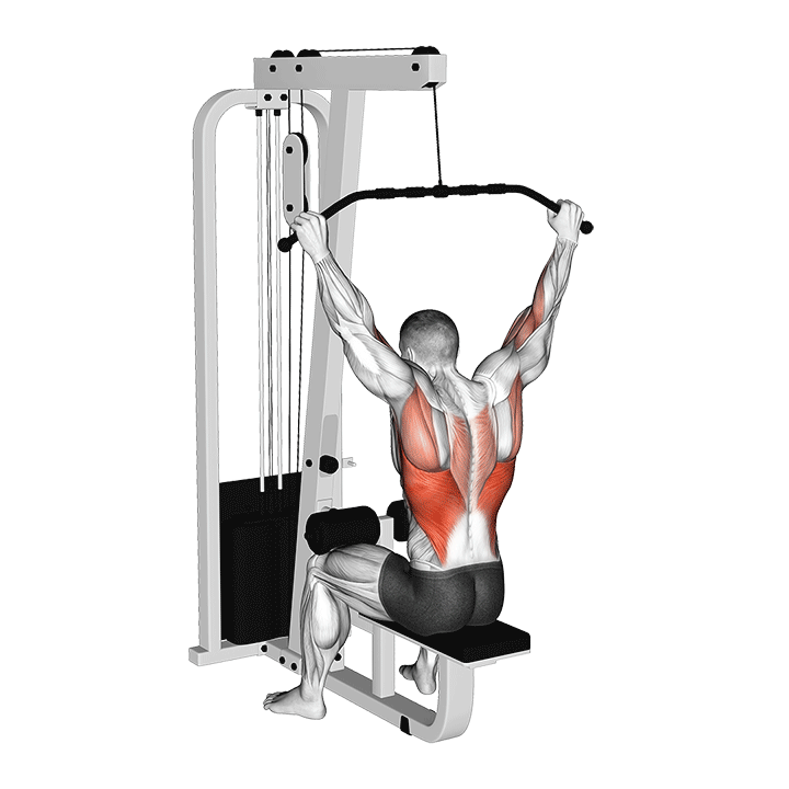 Cable Wide Grip Behind Neck Pulldown exercise animation