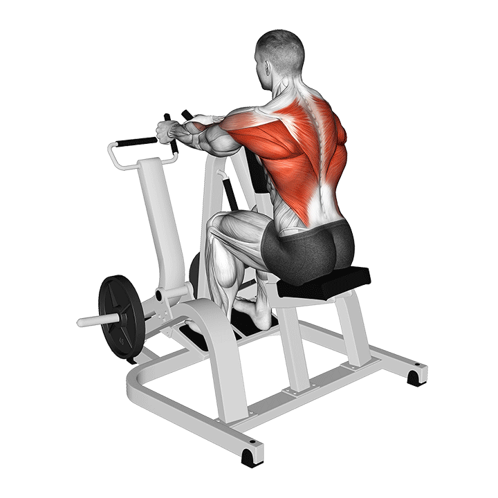Chest Supported Machine Row exercise animation