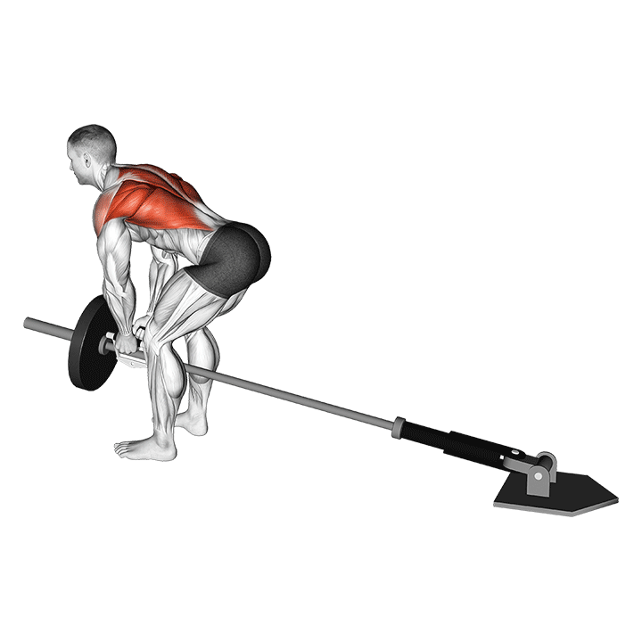 Close Grip Landmine Row exercise animation