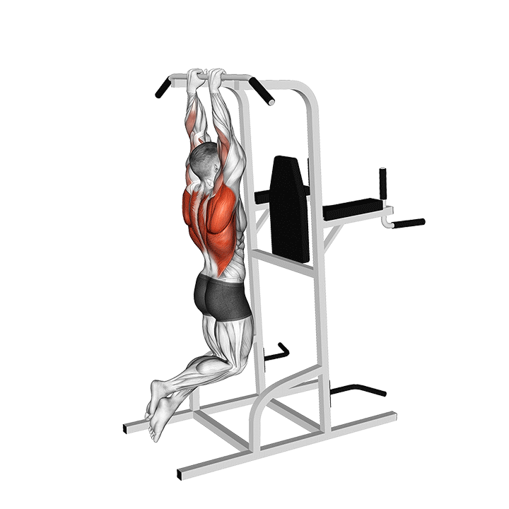 Close Grip Pull Up exercise animation
