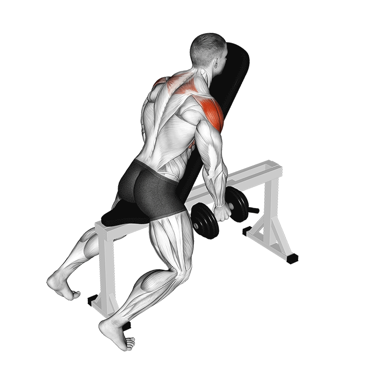 Dumbbell Incline Chest Supported Lateral Raises exercise animation