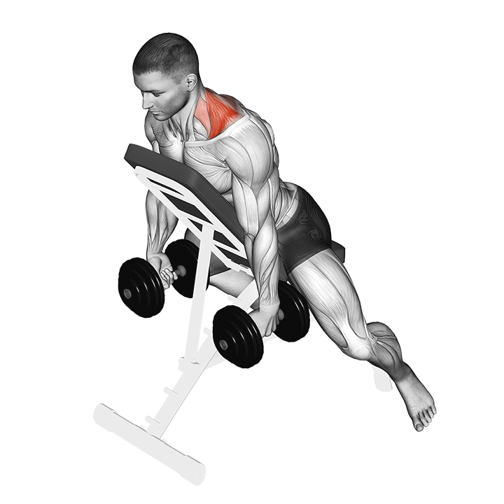 Dumbbell Kelso Shrugs exercise animation