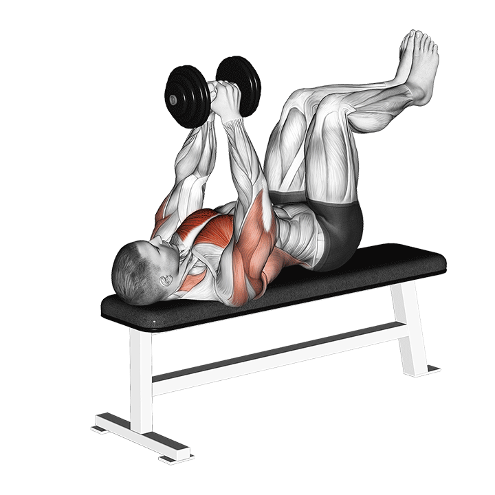 Dumbbell Pullover with Legs Raised exercise animation