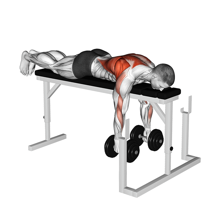 Dumbbell Seal Row exercise animation
