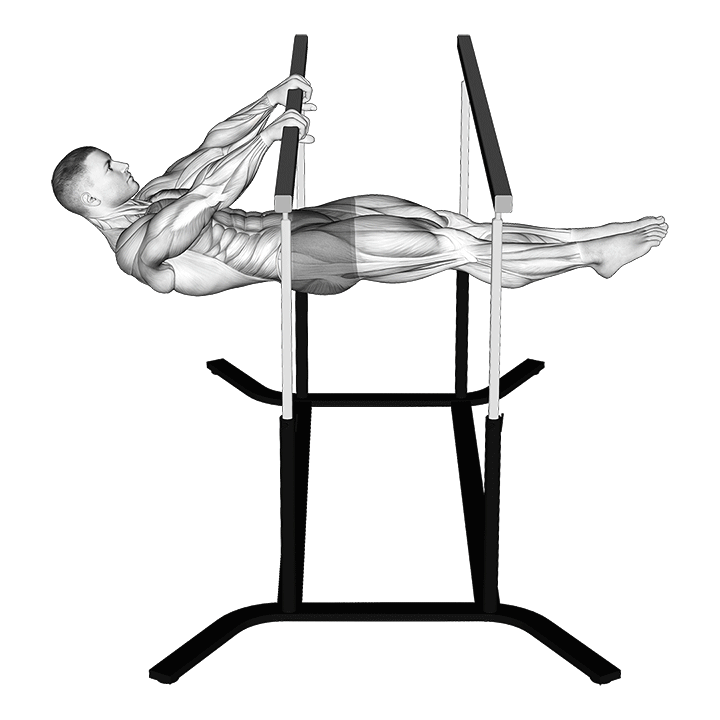Front Lever exercise animation