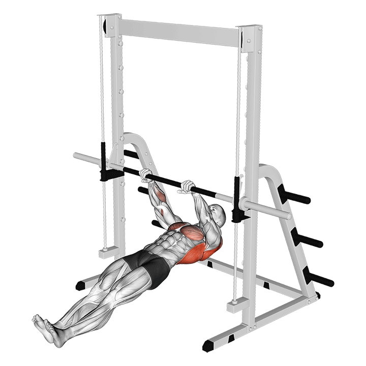Inverted Row (Australian) exercise animation