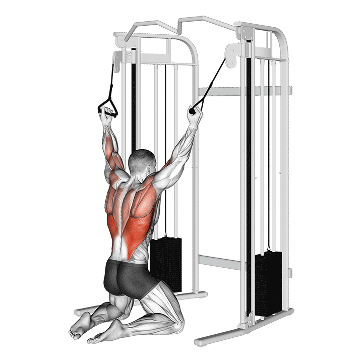 Kneeling Cable Lat Pulldown exercise animation