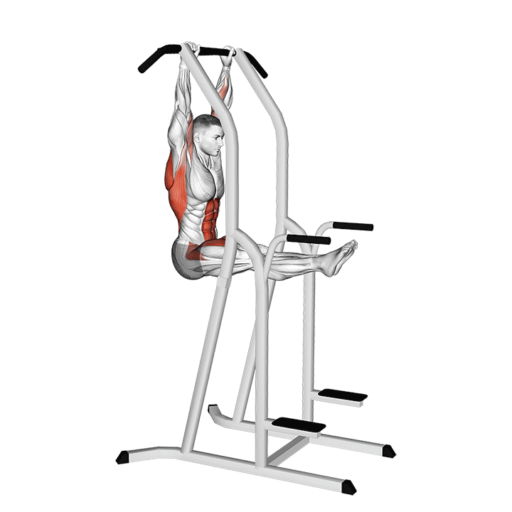 L Pull-Up exercise animation