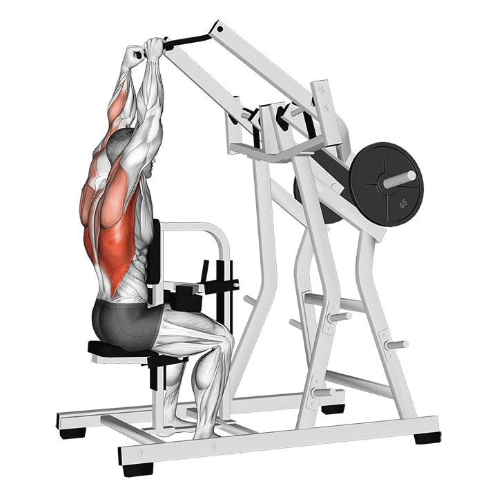 Lat Pulldown Machine exercise animation