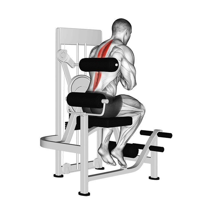 Lever Back Extension exercise animation