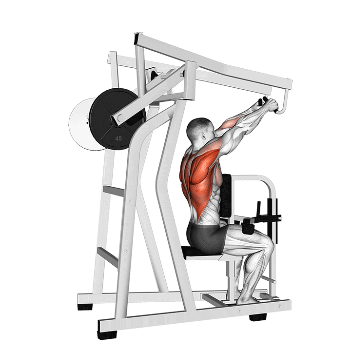 Lever High Row exercise animation