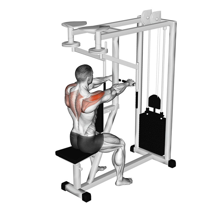 Machine Reverse Flyes exercise animation