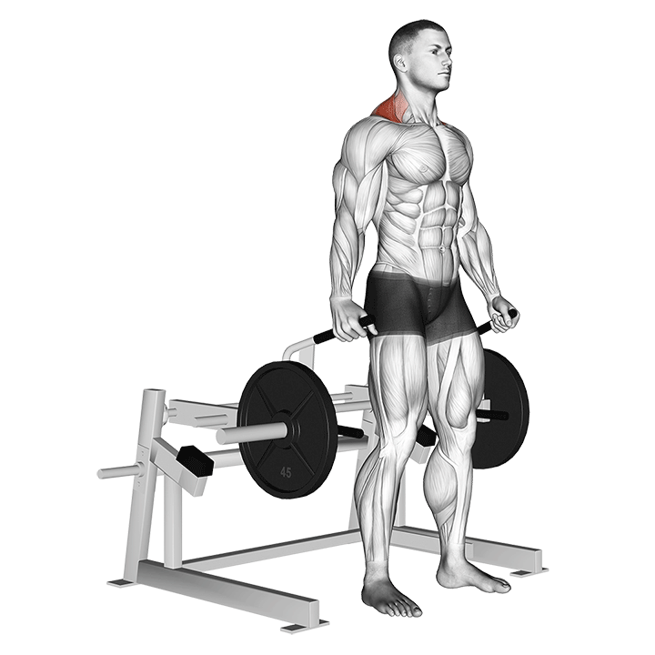 Machine Shrugs exercise animation