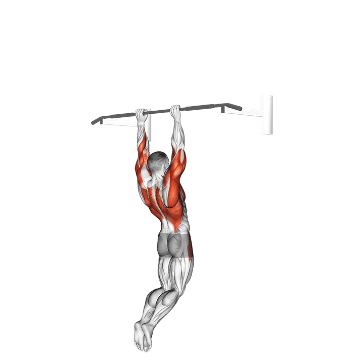Muscle-up exercise animation