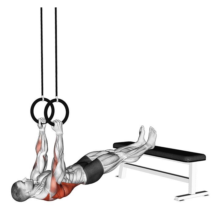 Narrow Grip Australian Pull-Up With Rings exercise animation