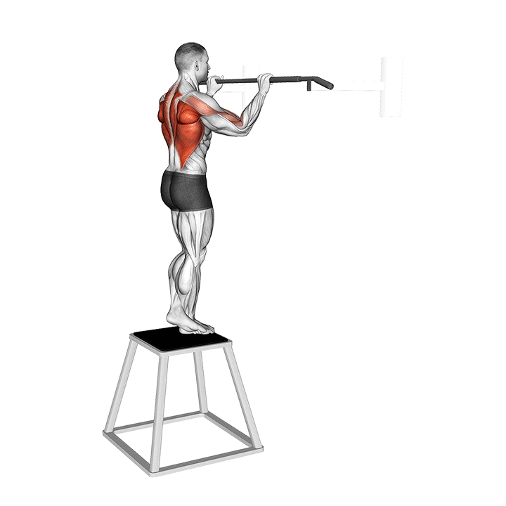 Negative Pull-Up exercise animation