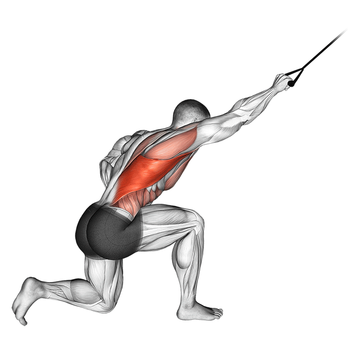 One-Arm Band Kneeling Lat Pulldown exercise animation