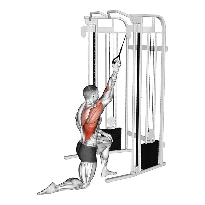 One-Arm Cable Half-Kneeling Lat Pulldown exercise animation