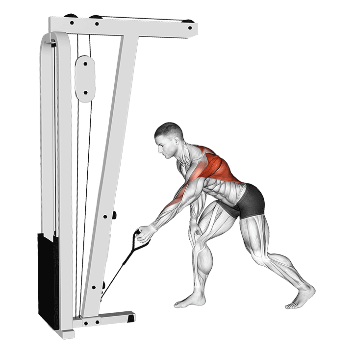 One-Arm Cable Low Row exercise animation