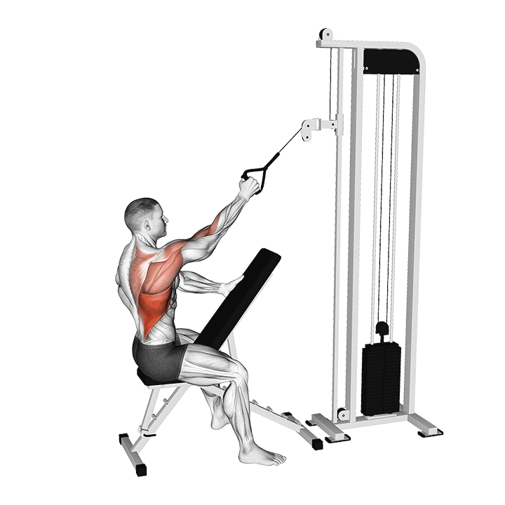 One-Arm High Row Cable exercise animation