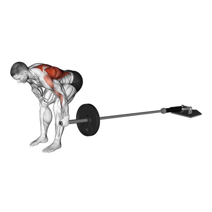 One-Arm Landmine Bent Over Row exercise animation