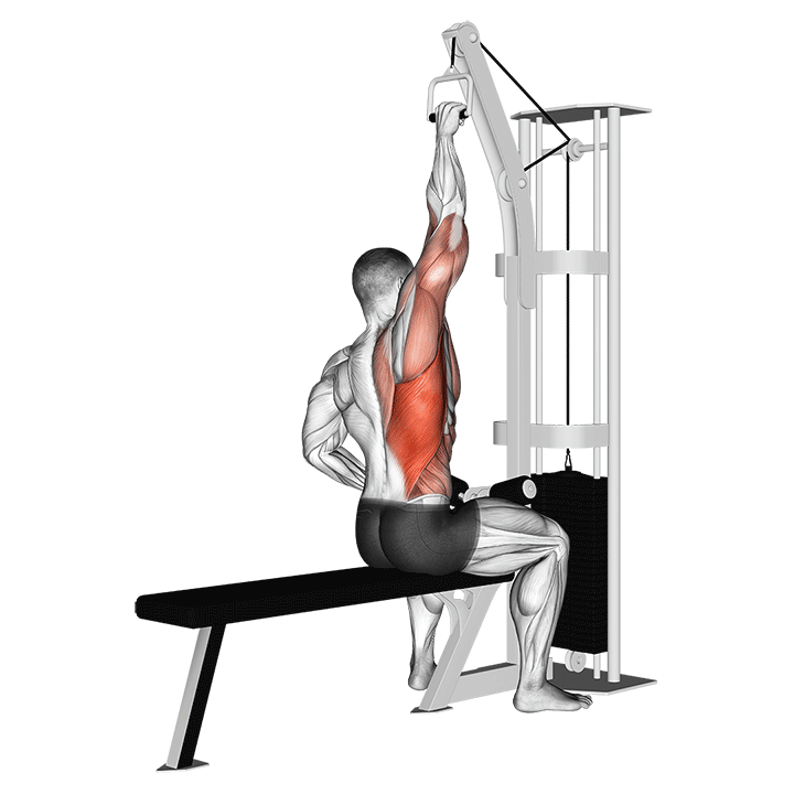 One-Arm Lat Pulldown exercise animation