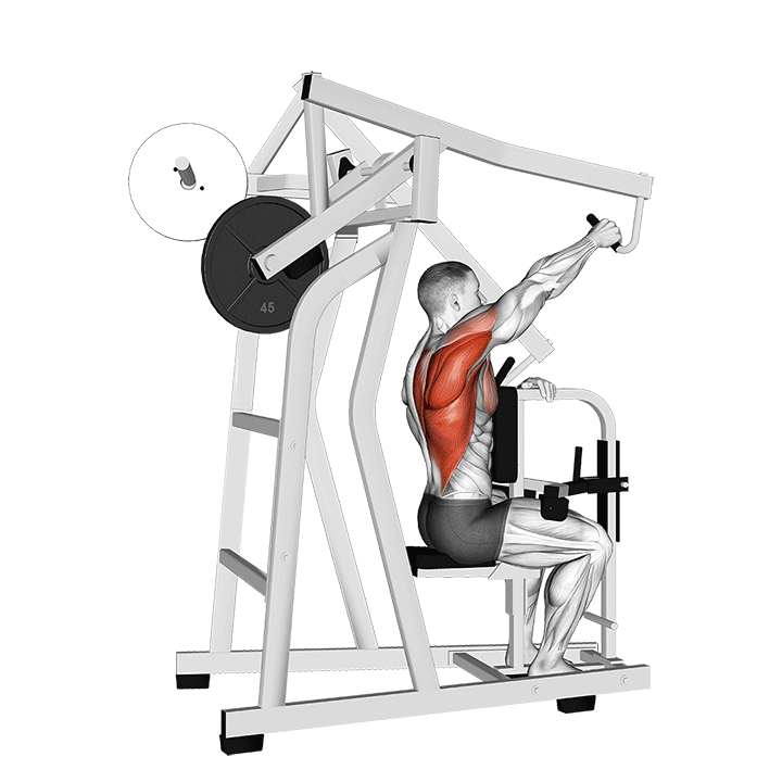 One-Arm Lever High Row exercise animation