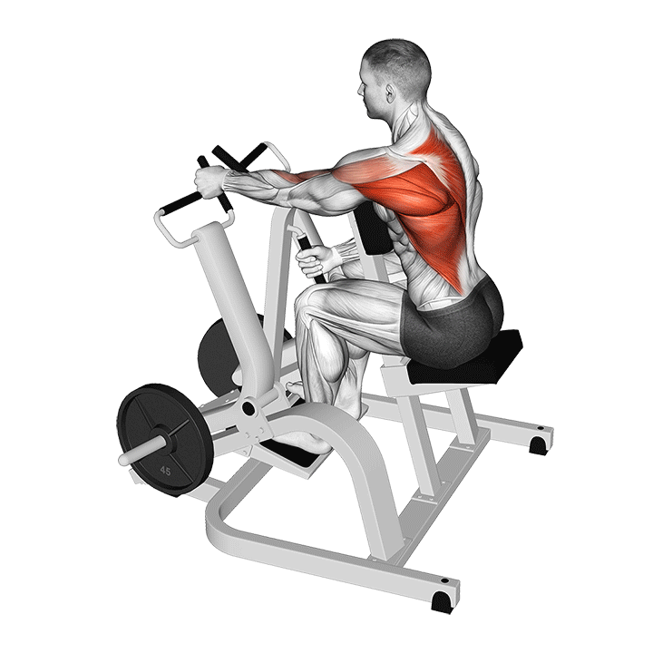 One-Arm Seated Row exercise animation