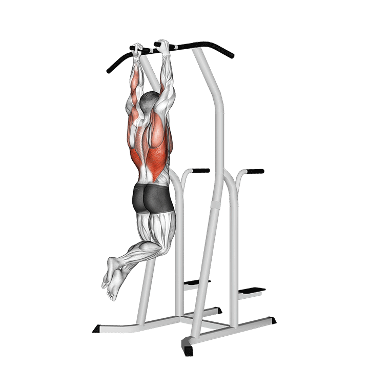 Pull-Up Neutral Grip exercise animation