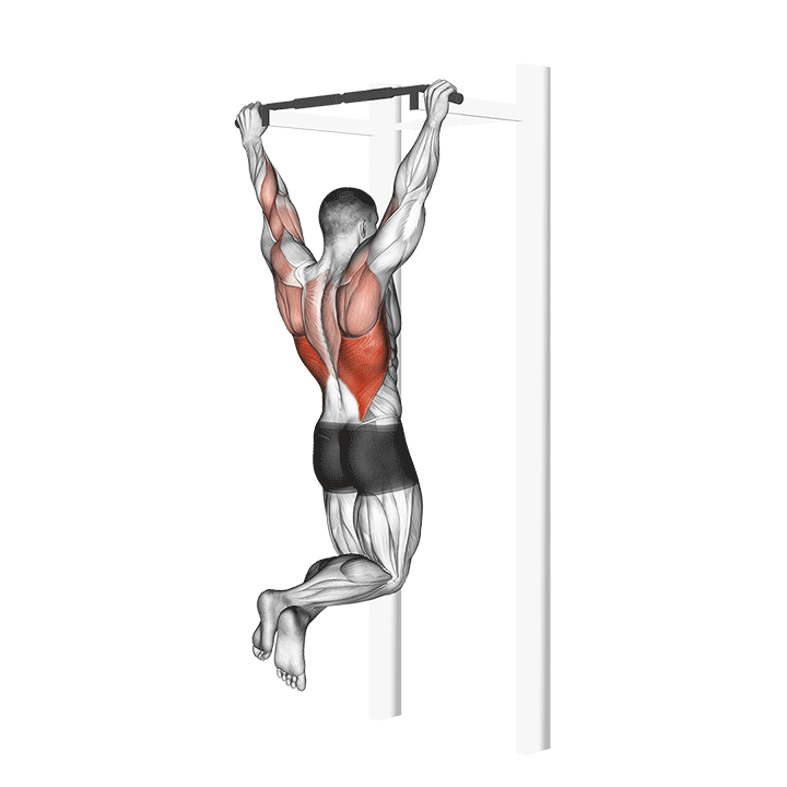 Pull-Up exercise animation
